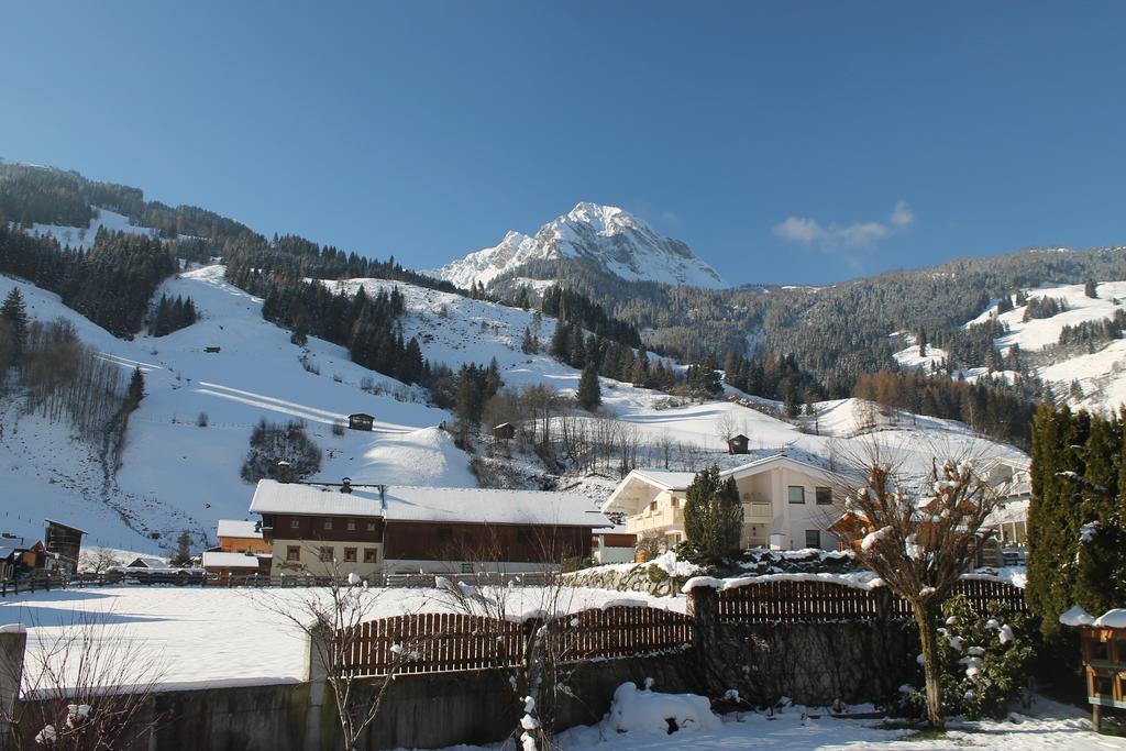 Haus Schoenegger Dorfgastein Εξωτερικό φωτογραφία
