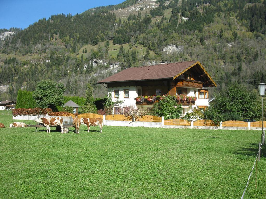 Haus Schoenegger Dorfgastein Εξωτερικό φωτογραφία
